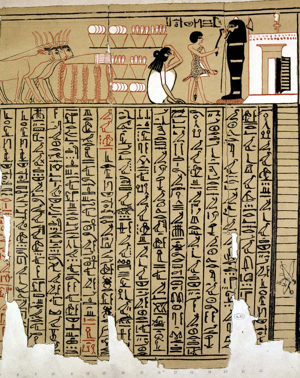 Egyptin hieroglyfit tekijältä School Egyptian