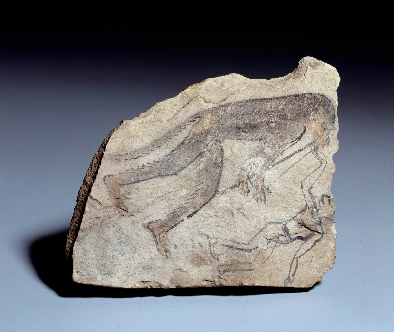 Egyptiläinen antiikki: ostrakon (tai ostracon) (monikko: ostraca tai ostraka) (keramiikka) hahmo: apina soittaa kaksoishuilua (aulos) saadakseen miehen tanssimaan. Kivi kalkkikivessä. 19. dynastia (noin 1295-1186). Deir el-Medinehin (el Medinehin) paikalta tekijältä School Egyptian