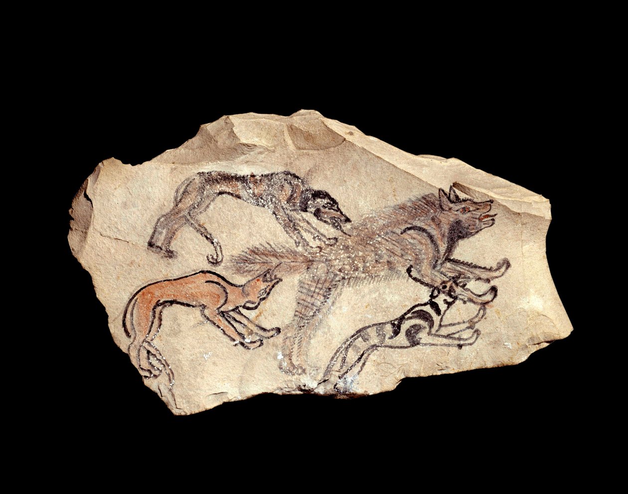 Egyptiläinen antiikki: ostrakon (tai ostracon) (monikko: ostraca tai ostraka) (keramiikka) kalkkikivessä, joka edustaa kolmea hyeenaa metsästävää koiraa. 1300-1070 eaa. Aurinko. 0,15x0,08 m Deir el Medinehistä. Pariisi, Louvre-museo tekijältä School Egyptian