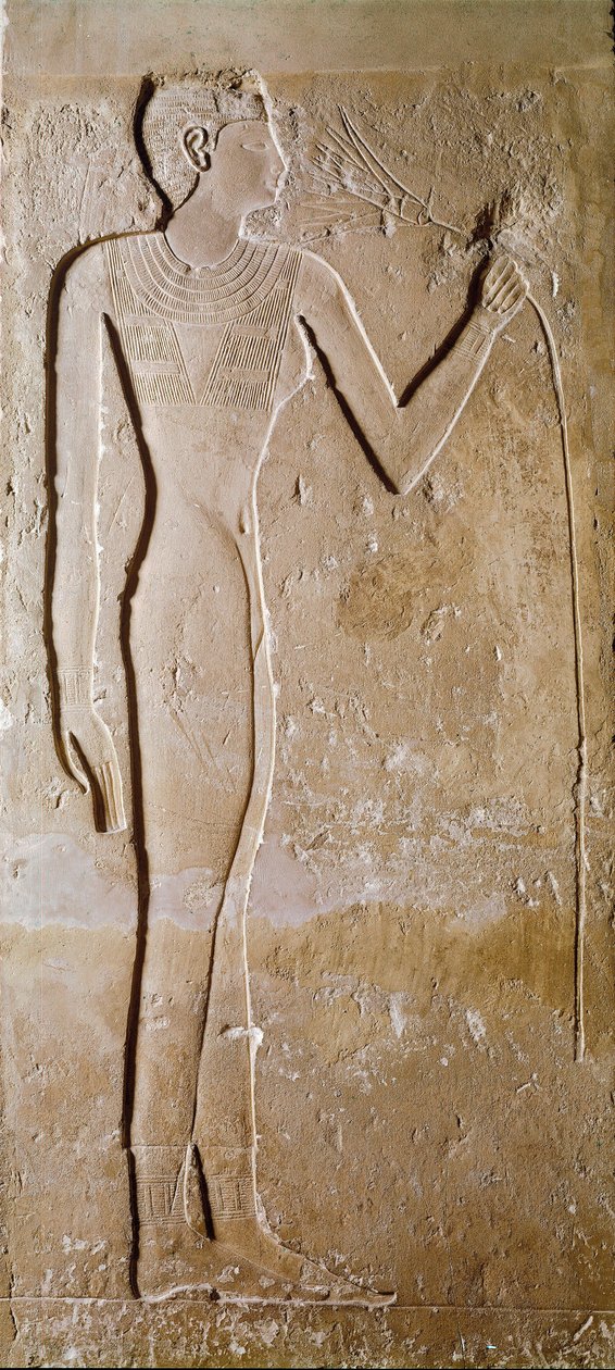 Egyptiläinen antiikki: nuorella naisella on lootuksenkukka. Kalkkikivi. 5. dynastia, 2300 eaa. Himmeä. 145 cm Pariisi, Musee du Louvre tekijältä School Egyptian