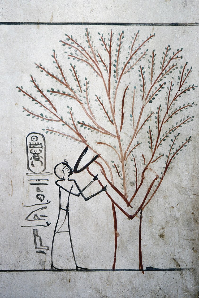 Luxor, Thebes: Kuninkaiden laakso. Thutmosis (Tuthmosis tai Thutmes) III (-1504 - -1450), Egyptin faraon hauta. tekijältä School Egyptian