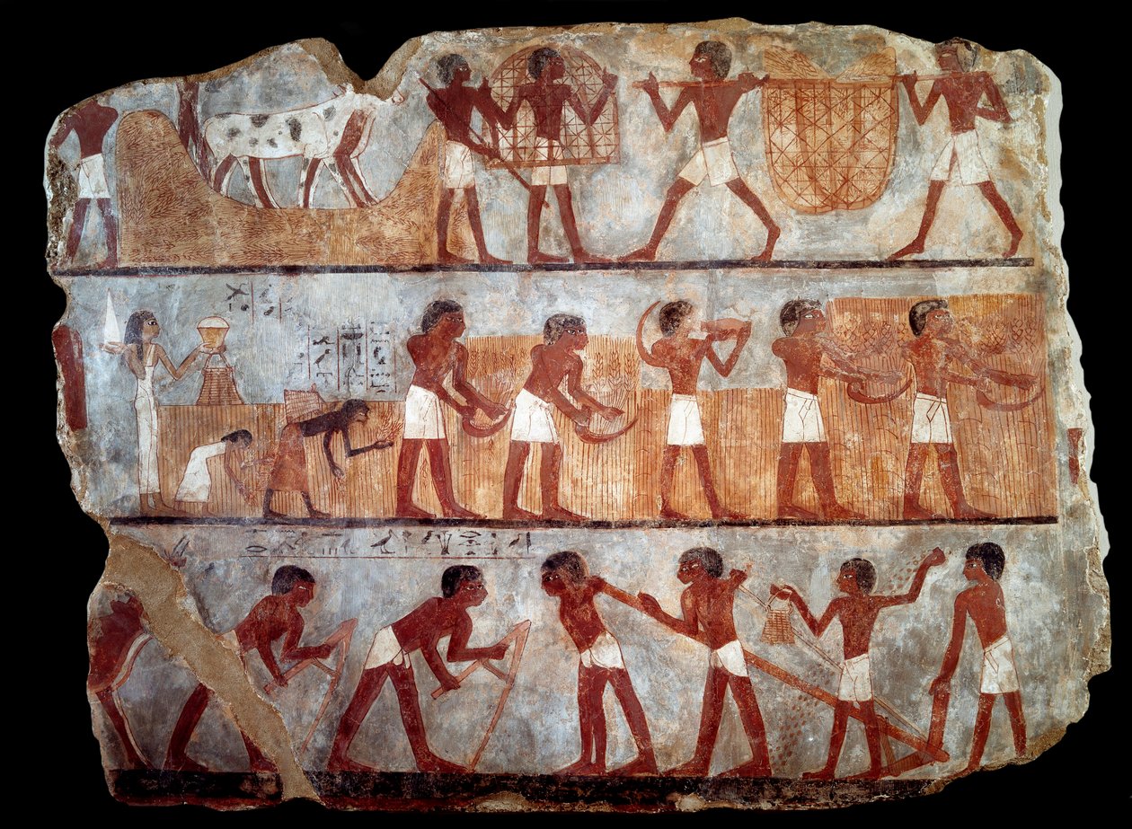 Kylvö ja muisteleminen kirjuri Unsoun haudasta (fresko) tekijältä School Egyptian