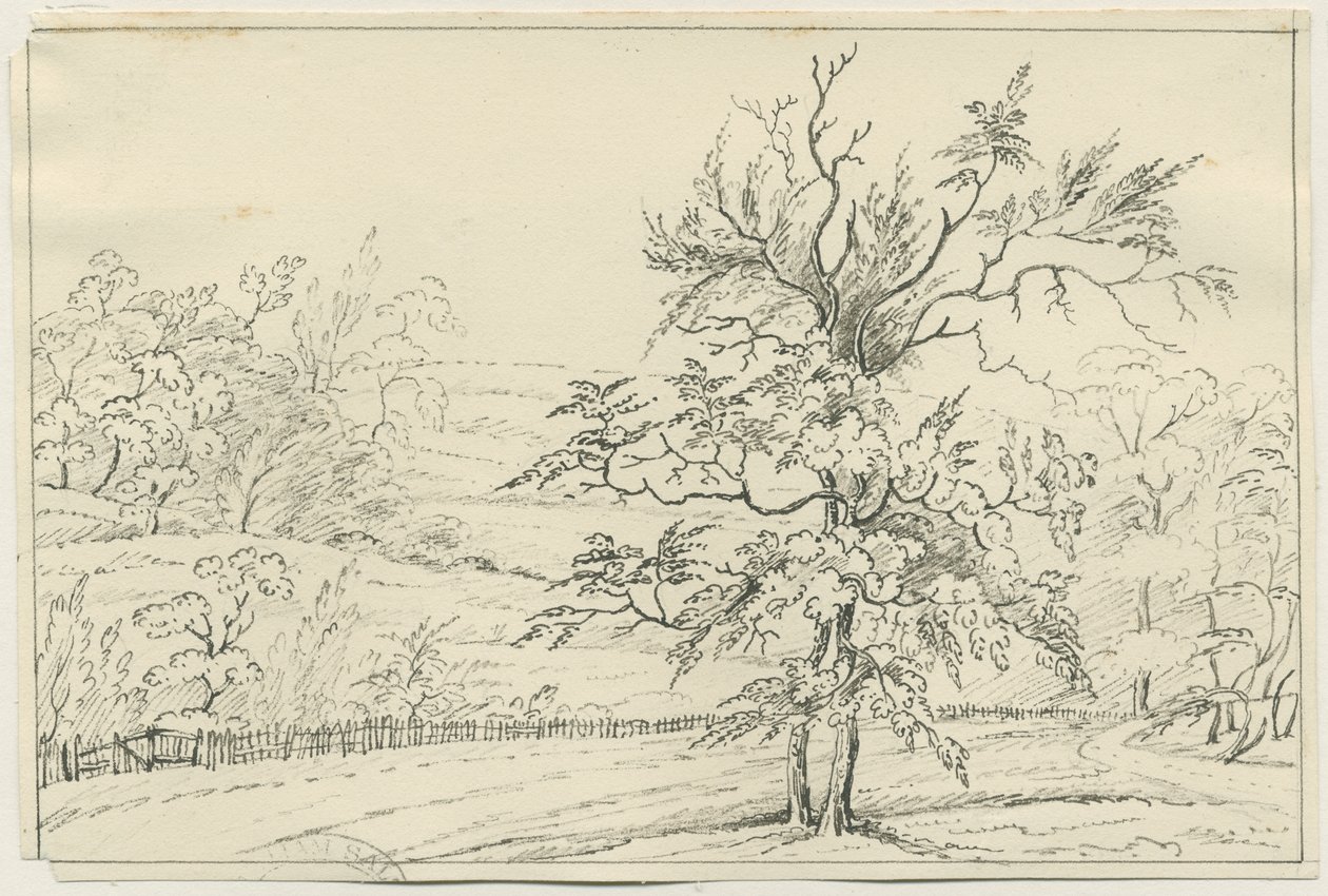 Cannock Chase: kynä- ja lyijykynäpiirros, nd [?1800-luku] (piirustus) tekijältä School English