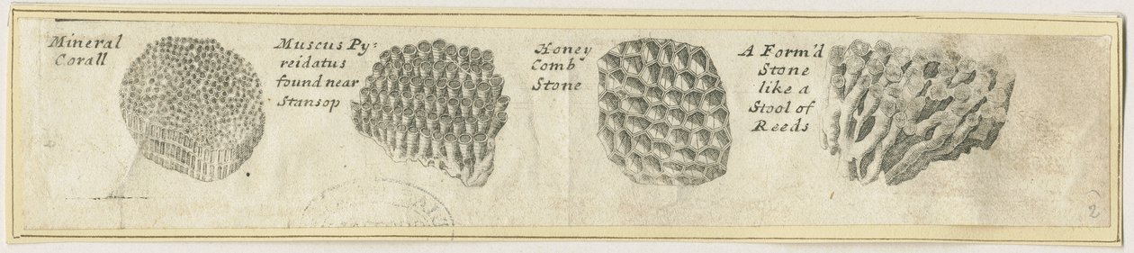 Dovedale - Mineraalikoralli: kuparilevykaiverrus ja [?1800-luku] (painettu) tekijältä School English
