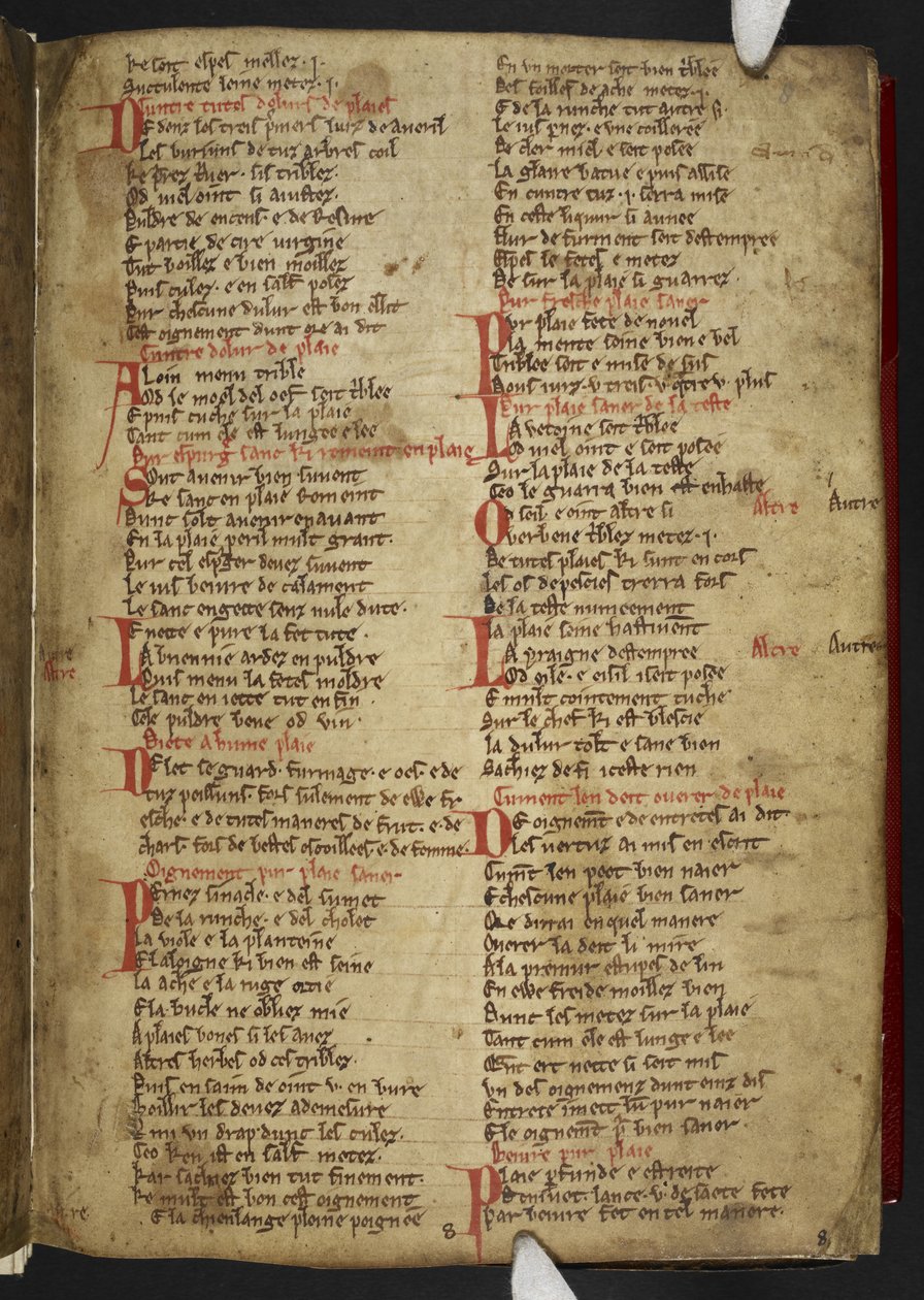 Harley MS 2558 f.8r, Novele cirurgerie, ote (365 riviä). Kokoelma lääketieteellisiä reseptejä anglo-normanniksi säkeessä (vellum) tekijältä School English