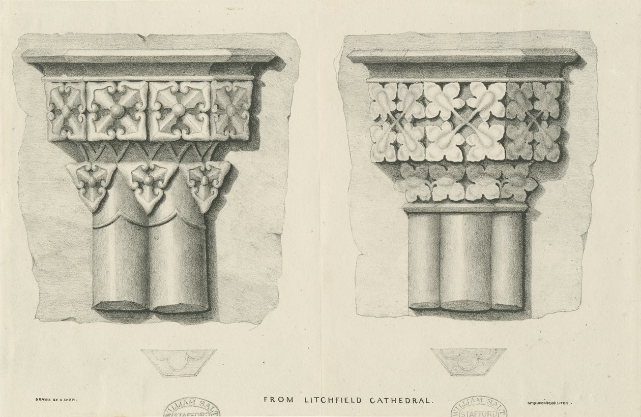 Lichfieldin katedraalin sisustus - veistetty lehdet: litografia ja [?1800-luku] (painettu) tekijältä School English