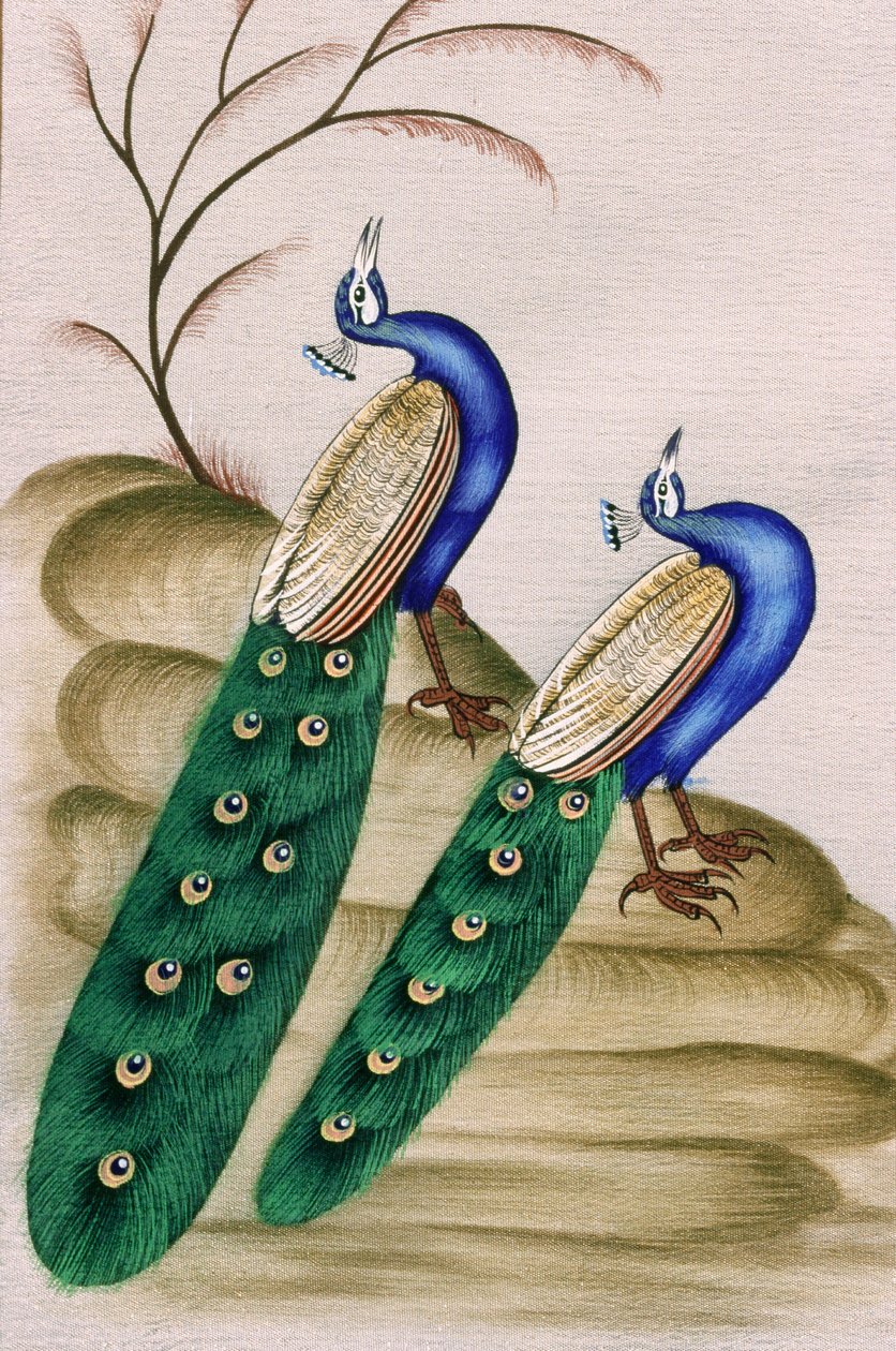 Miniatyyri maalaus paperille Peacock tekijältä School Indian