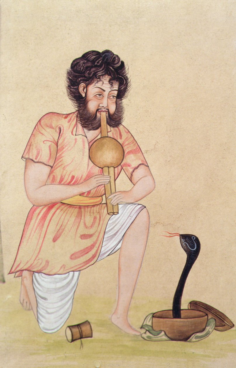 Snake Charmer (guassi ja akvarelli paperille) tekijältä School Indian