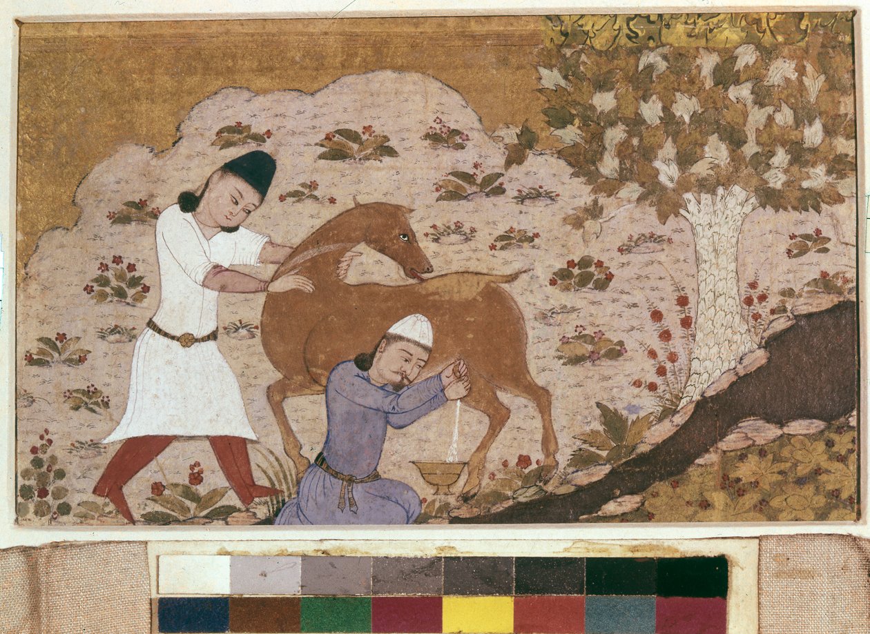 Onager Lypsy, 1400-luvun loppu (akvarelli, guassi, valkoinen väri, muste paperille) tekijältä School Iranian
