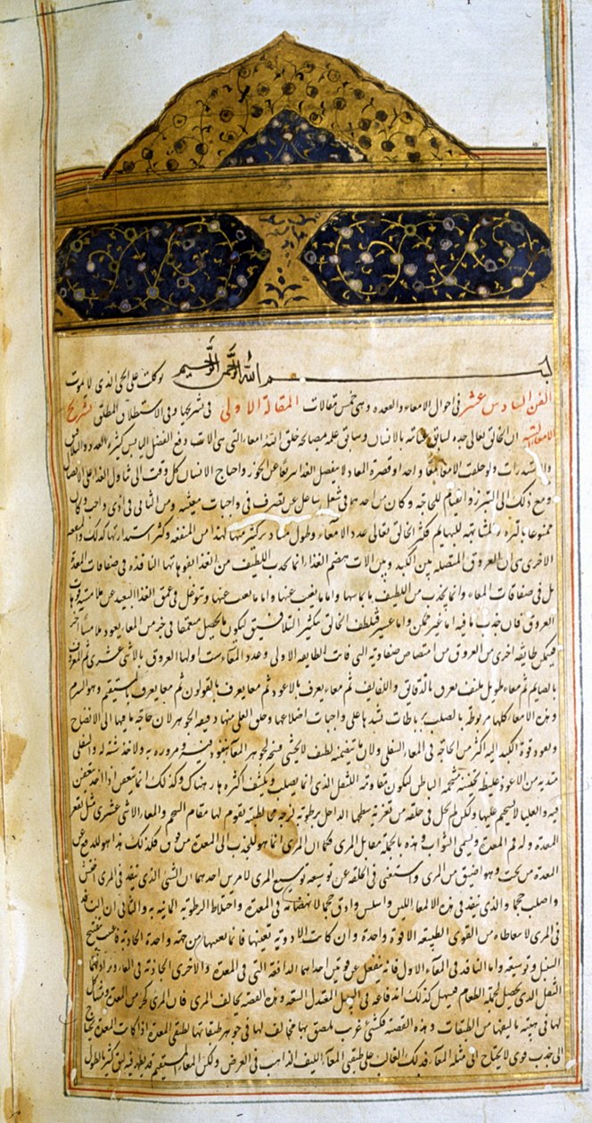 Sivu lääketieteen kaanonista (al-Qānūn fī aṭ-Ṭibb), kirjoittanut Avicenna tekijältä School Iranian