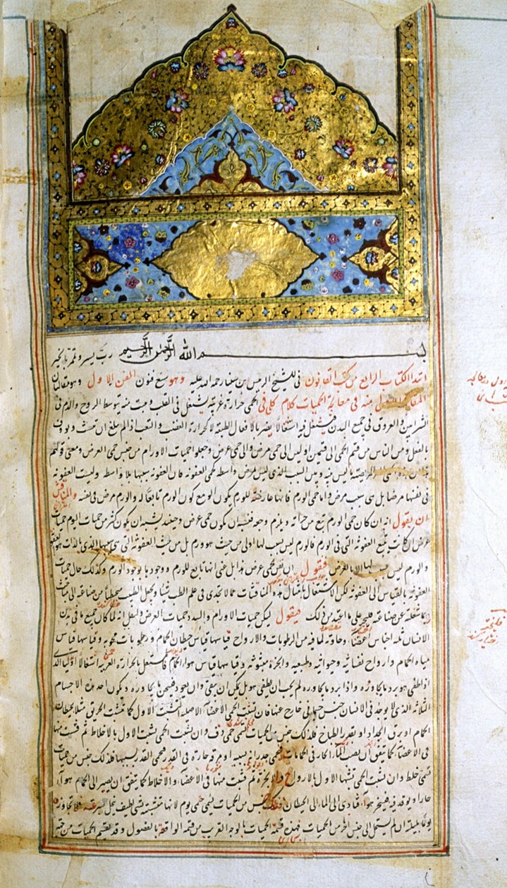 Sivu lääketieteen kaanonista (al-Qānūn fī aṭ-Ṭibb), kirjoittanut Avicenna tekijältä School Iranian