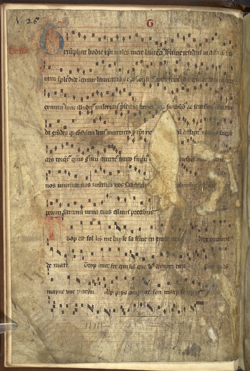 MS 24198 f.1v Virsikirjan sisältävä etulehti, Augustinuksen sääntökuntain kanonien käyttämä messukirja, jossa on erityisiä lisäyksiä Dublinin Pyhän Tuomas Marttyyrin kirkkoa varten (pergamentti). tekijältä School Irish