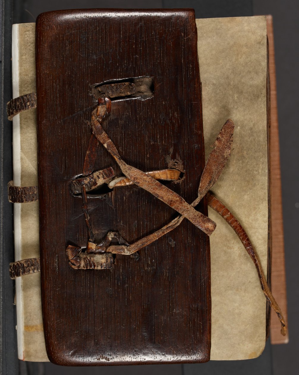 MS CCC 282 Corpus Irish Missal Book Binding, n. 1120-30 (tammi, nahka ja peruna) tekijältä School Irish