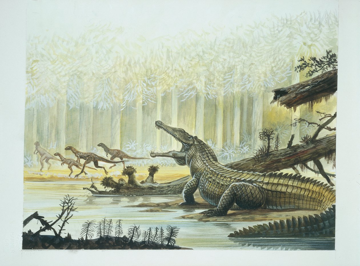Rutiodon ja Fabrosaurus taustalla, triaskausi (väri litho) tekijältä School Italian