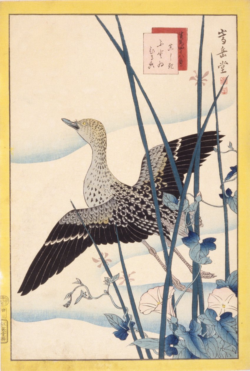 Sorsa tekijältä School Japanese