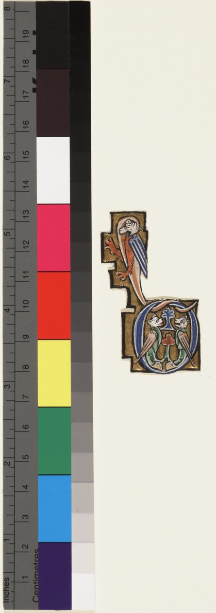 Alkukirjain D, psalteritunnit, n. 1270 (kulta & tempera vellum) tekijältä School Mosan