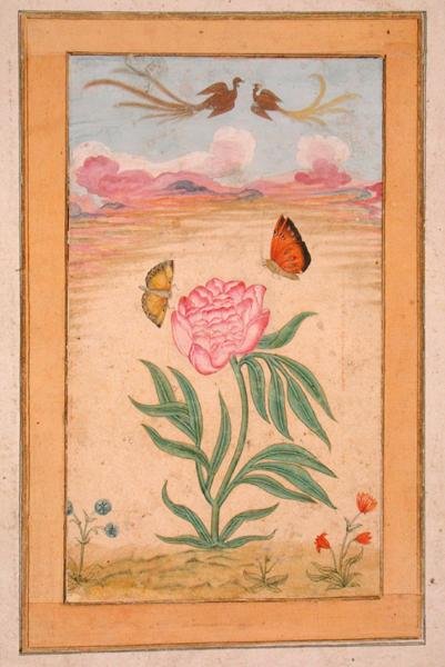 Kukkivia kasveja, joissa on paratiisin lintuja ja perhosia, Small Clive Albumista (guassi pergamentilla) tekijältä School Mughal