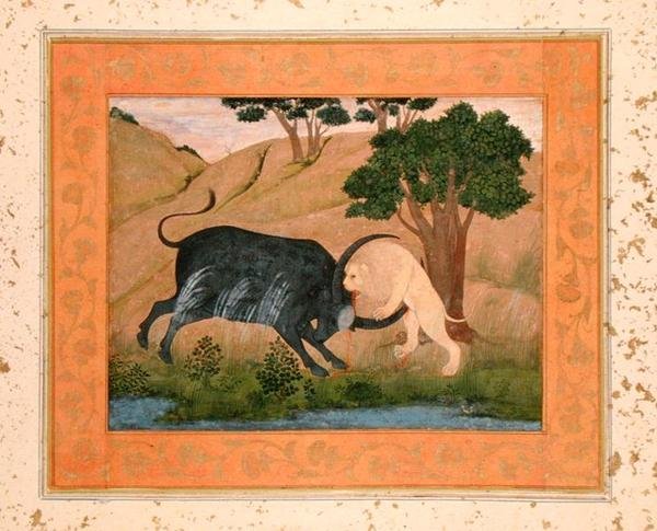 Leijona taistelussa vesipuhvelin kanssa Large Clive Albumista tekijältä School Mughal