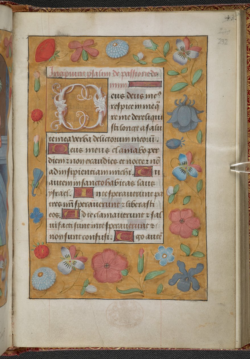 Kings 9, f.232r, tuntikirja, Sarumin käyttö ("Anne Boleynin tuntikirja") (pergamentti). tekijältä School Netherlandish