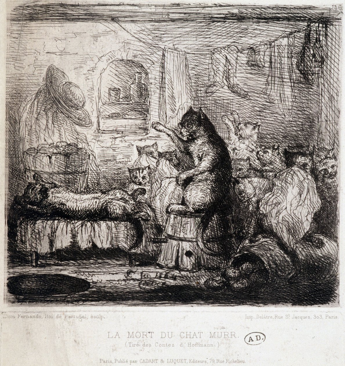 The Death of the Cat Murr (Hoffmannin tarinoista) - Piirustus, Portugali tekijältä School Portuguese