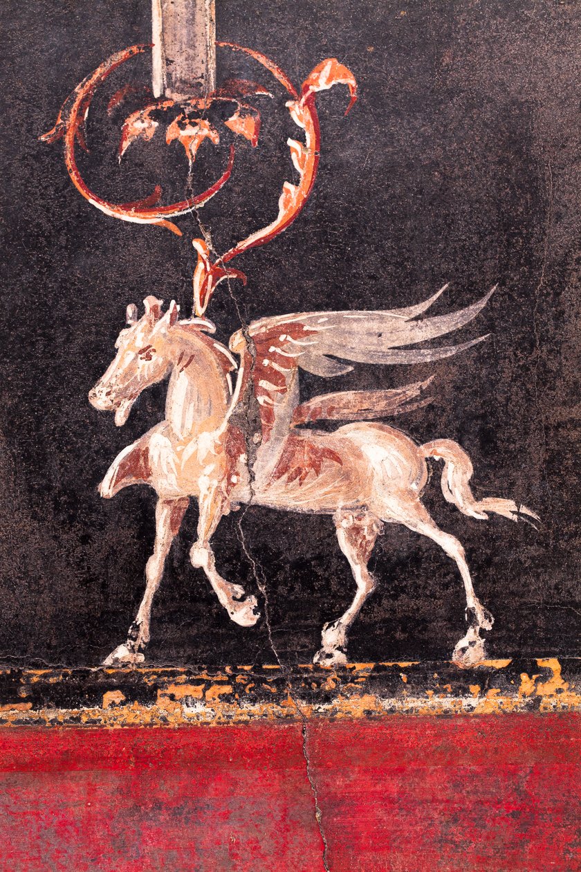 Arkkitehtoninen koristelu, jossa on siivekkäitä hevosia (pegasi), Herculaneum tekijältä School Roman