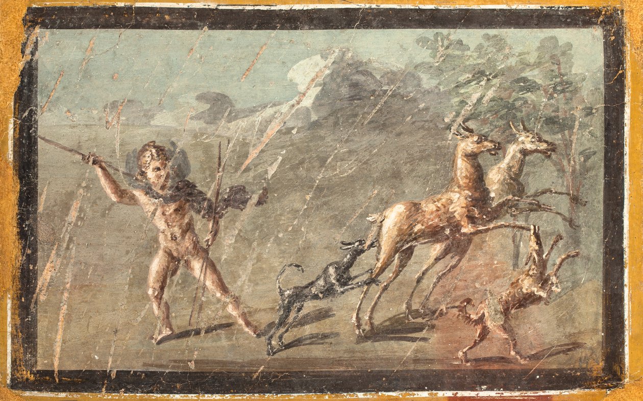  tekijältä School Roman