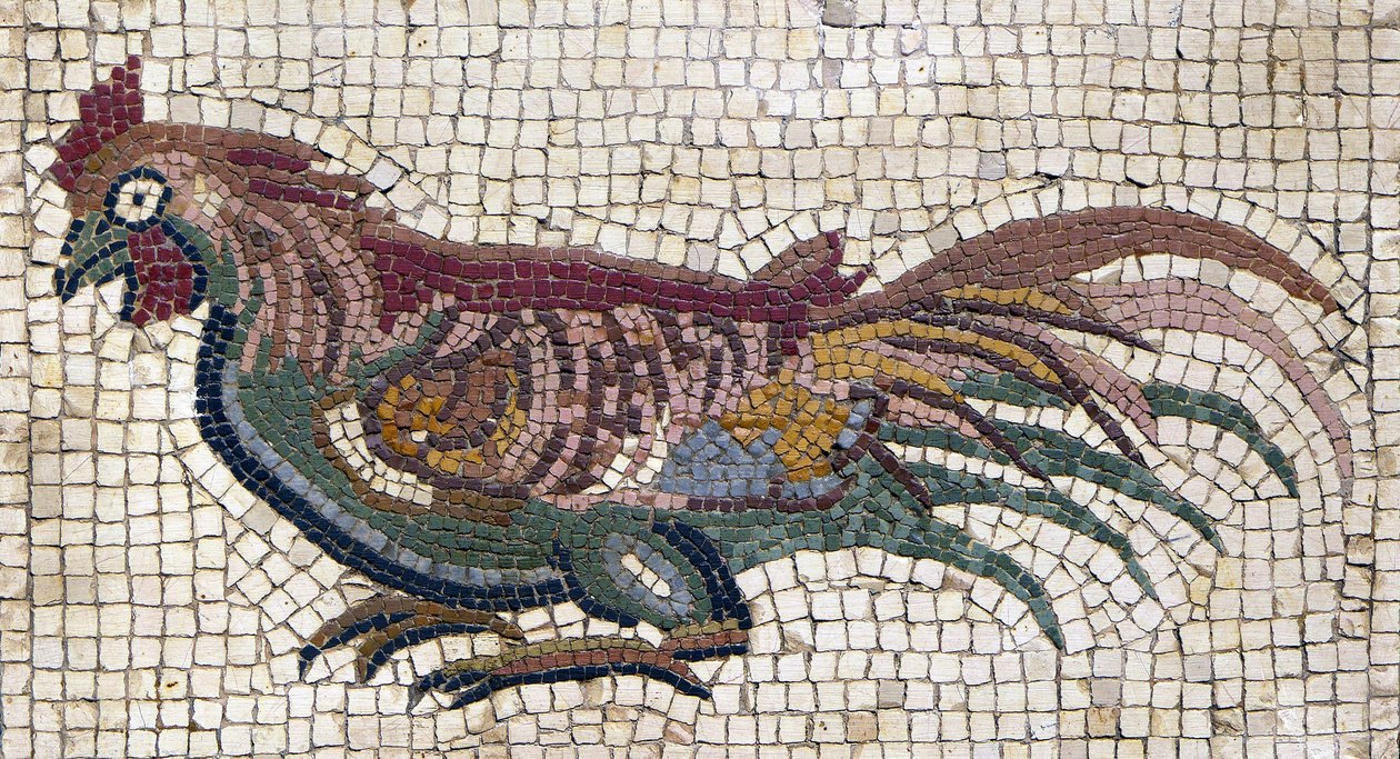 Monivärinen kukko roomalaisen huvilan maasta Tunisiassa (mosaiikki). tekijältä School Roman
