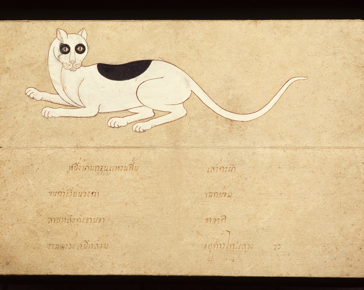 Siamilaisia kissoja käsittelevän käsikirjoituksen lehti, 1900-luvun alku (vesiväri paperille). tekijältä School Thai