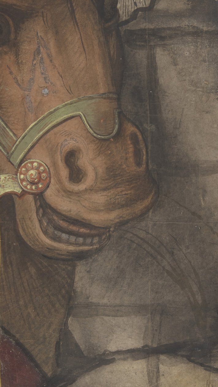 Hevosen pää, 1500-1550. tekijältä School of Raphael.