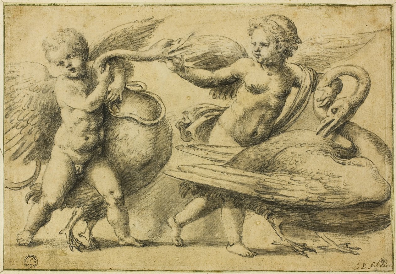 Putti leikkii joutsenen kanssa tekijältä School of Raphael