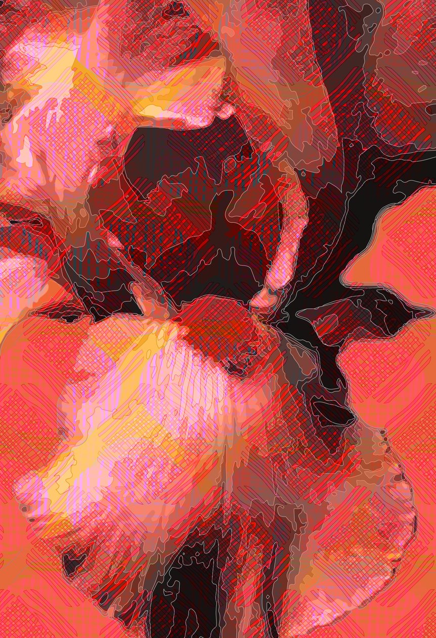 Oranssi iiris (digitaalinen) tekijältä Scott J. Davis