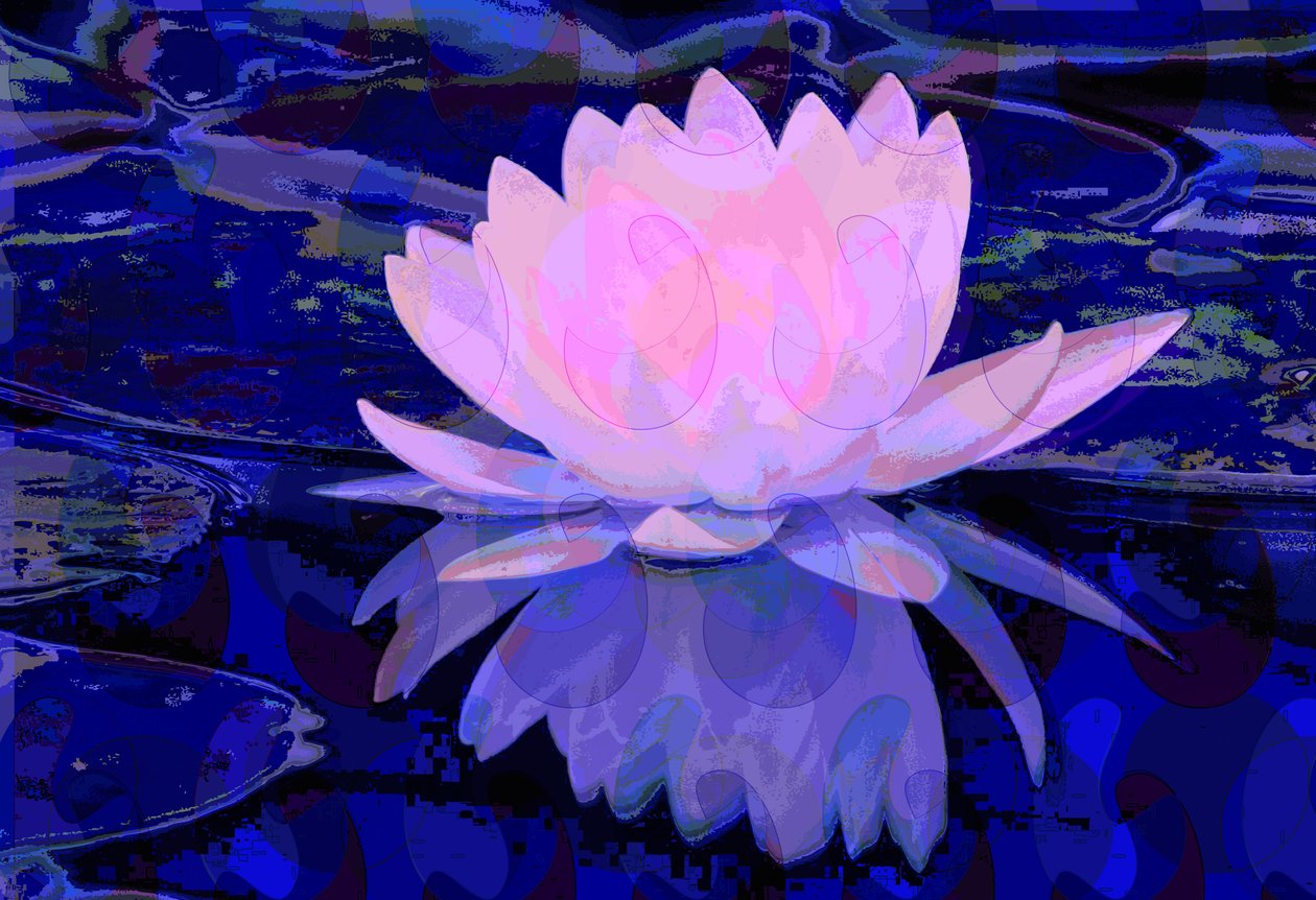 Pink Water Lily (digitaalinen) tekijältä Scott J. Davis