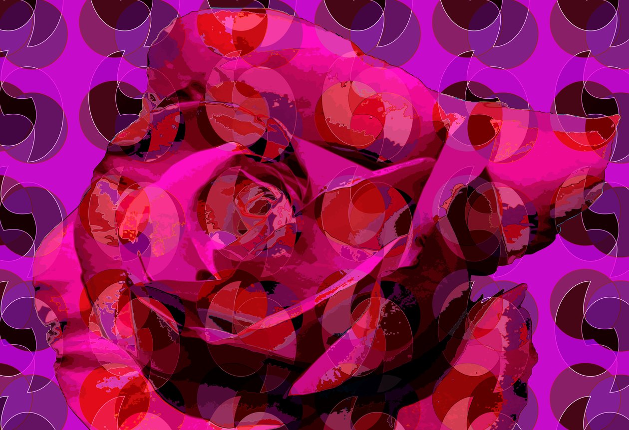 Rose (digitaalinen) tekijältä Scott J. Davis