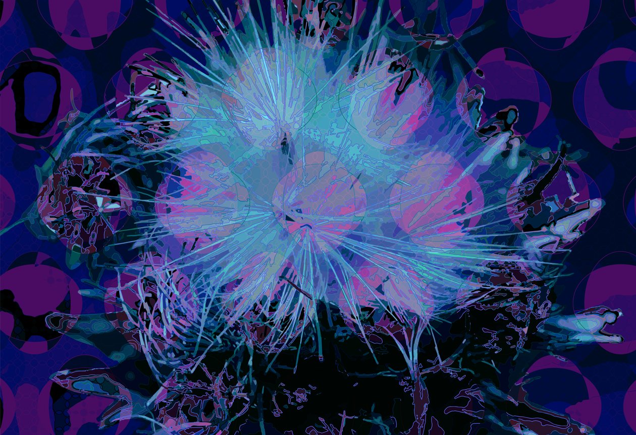 artisokka (digitaalinen) tekijältä Scott J. Davis