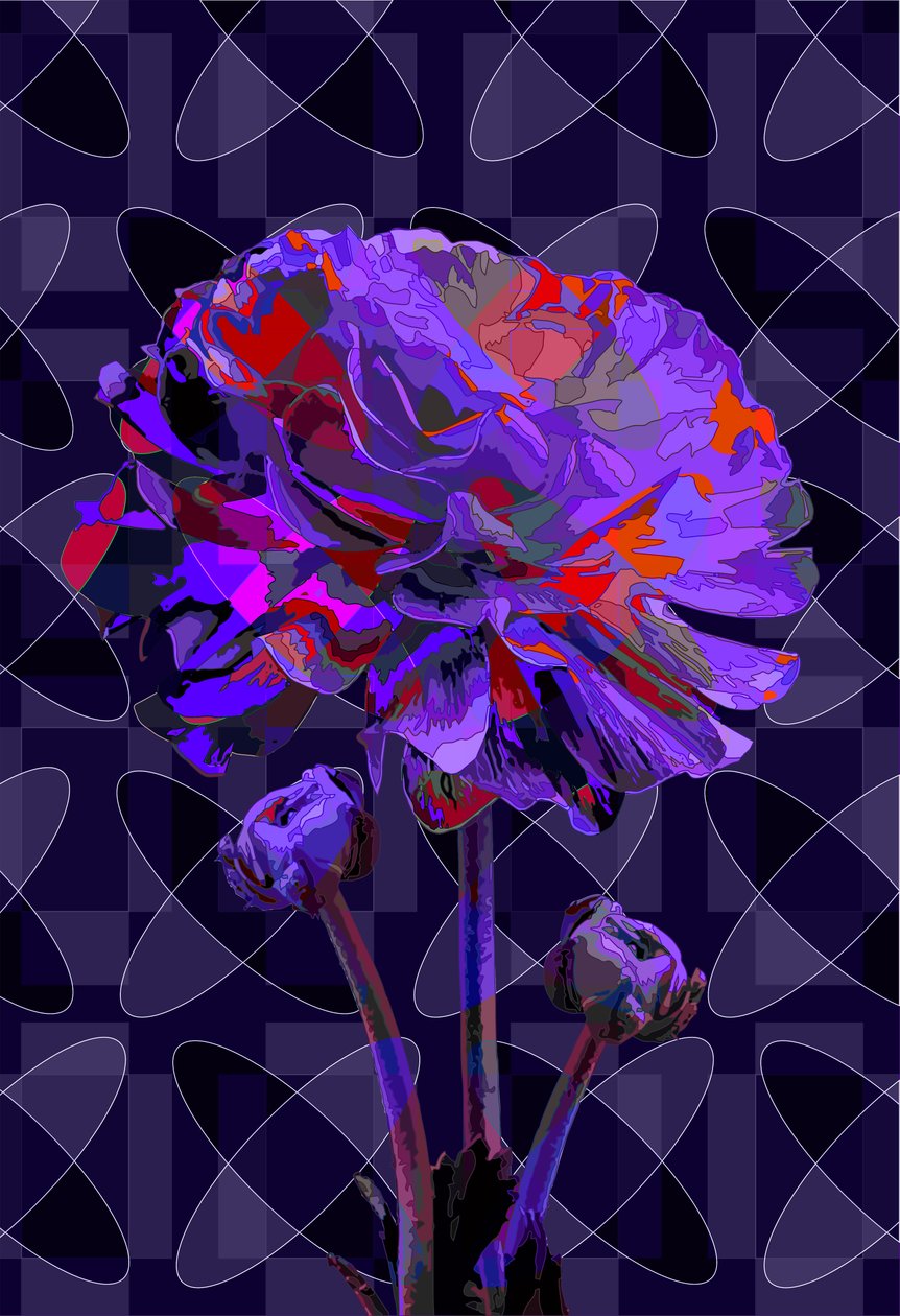 Neilikka 2, 2019 tekijältä Scott J. Davis