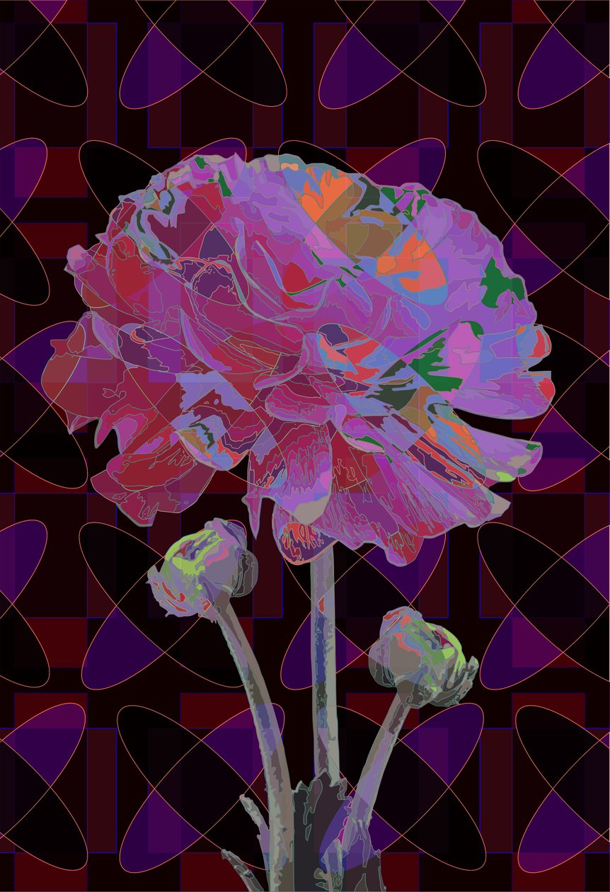 Neilikka, 2019 tekijältä Scott J. Davis