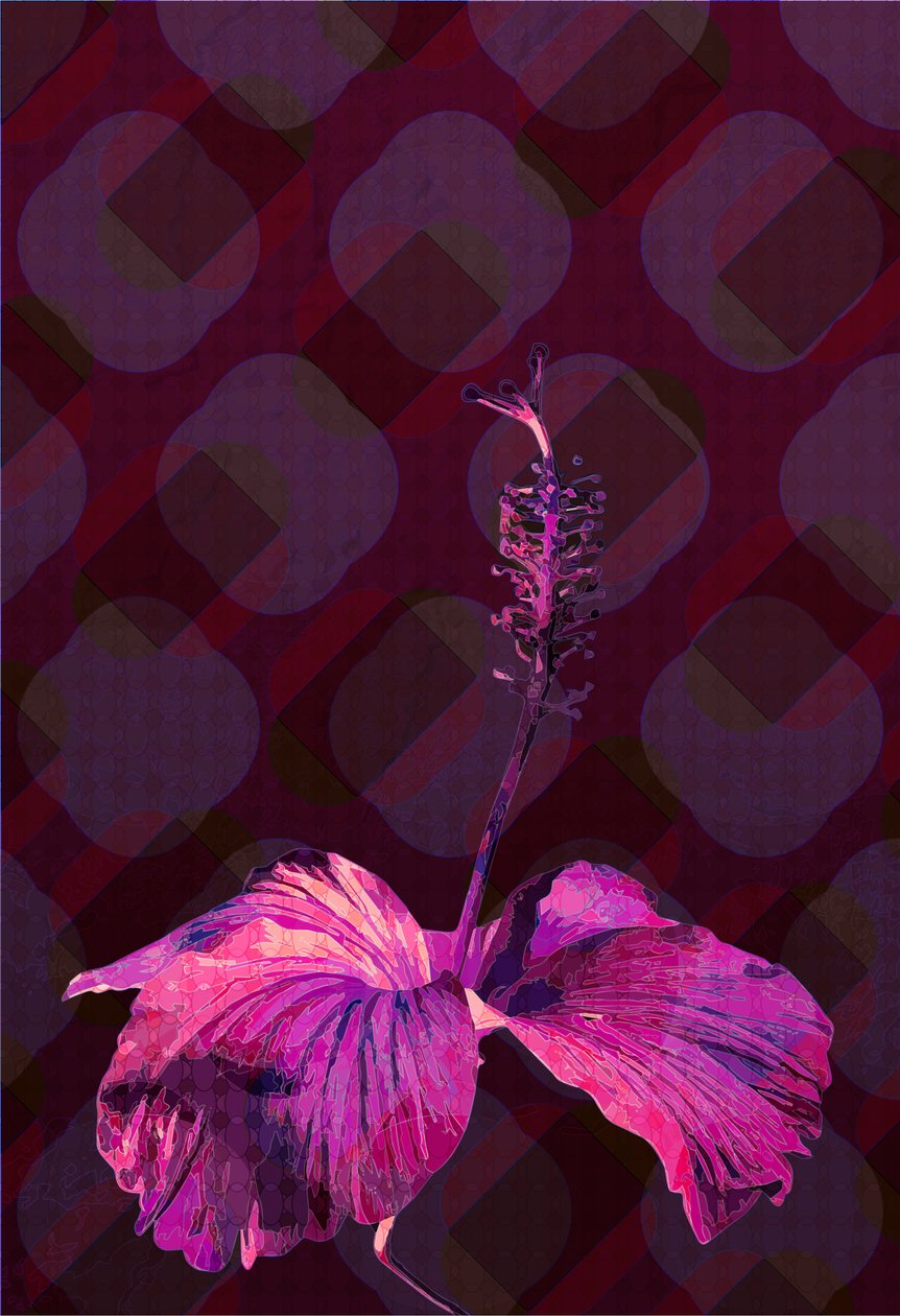 Hibiscus 3, 2019 tekijältä Scott J. Davis