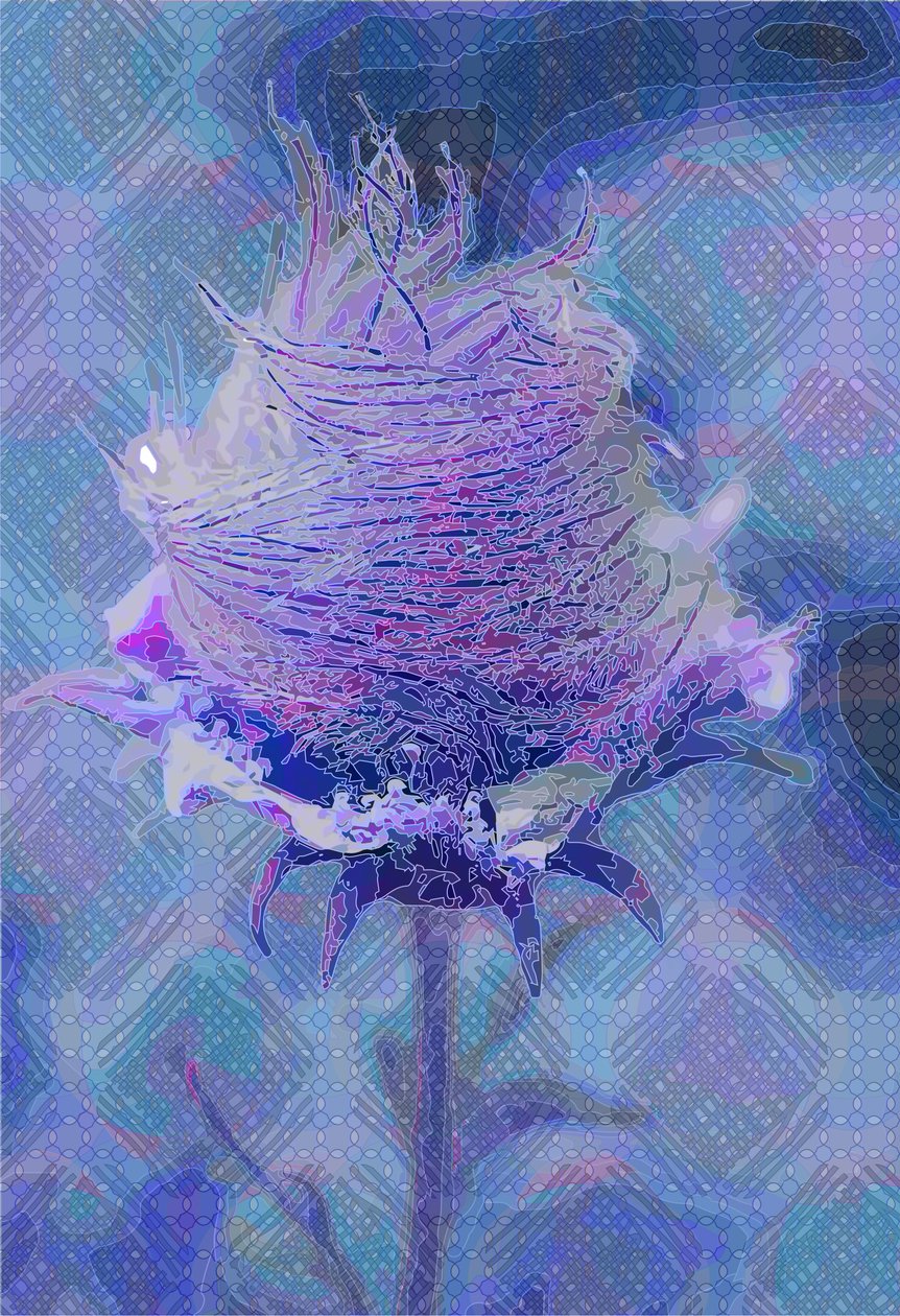 Wood Avens, 2 2019 tekijältä Scott J. Davis