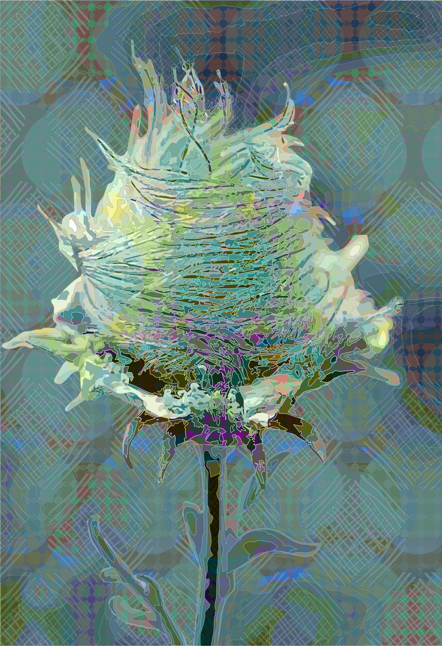 Wood Avens3, 2019 tekijältä Scott J. Davis