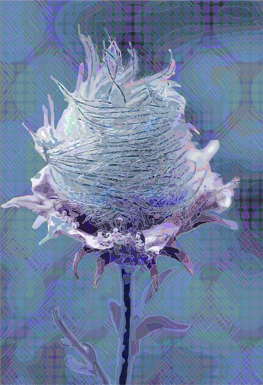Wood Avens4, 2019 tekijältä Scott J. Davis