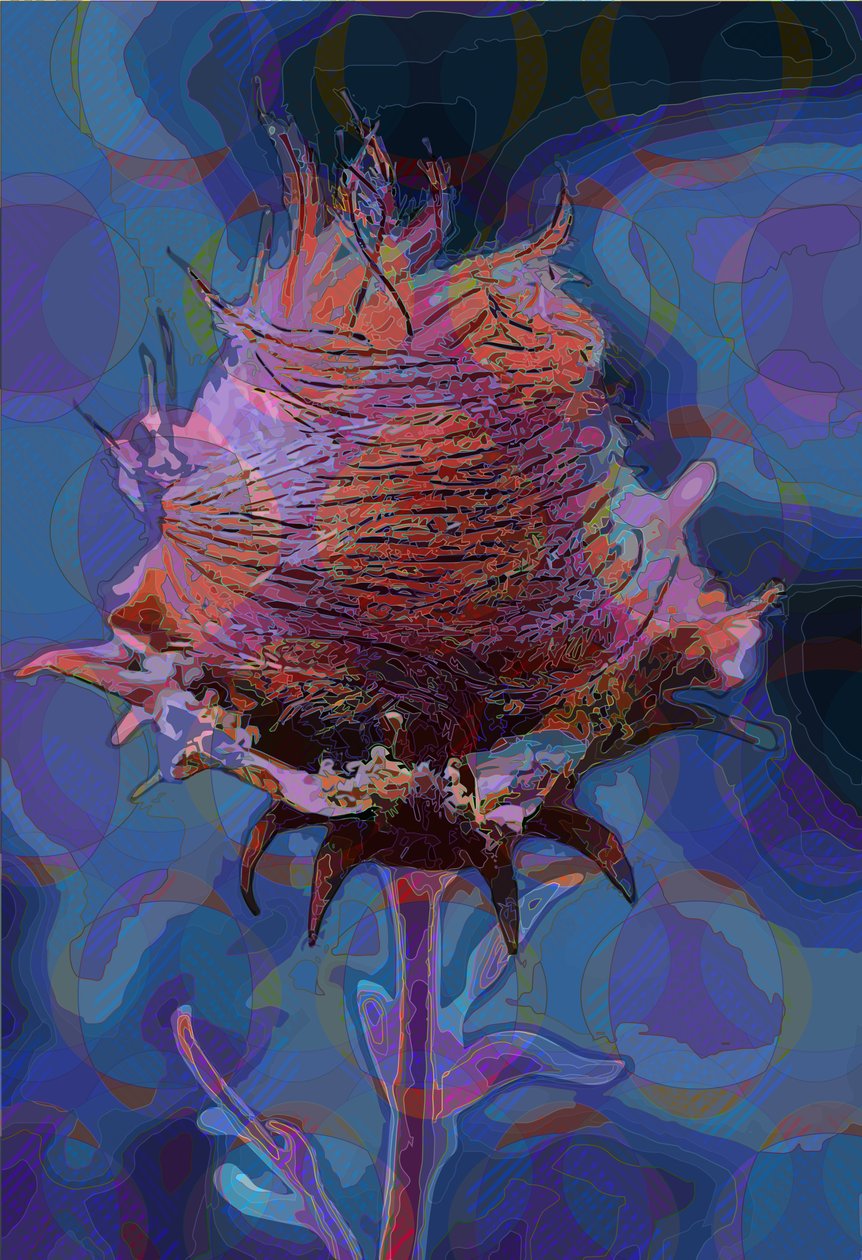 Wood Avens, 2019 tekijältä Scott J. Davis
