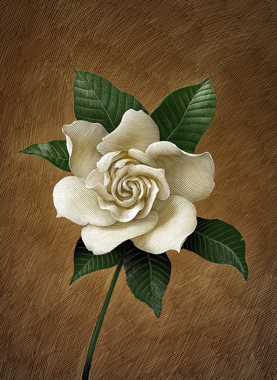 Gardenia, 2015 (raapalevy, väritetty digitaalisesti) tekijältä Scott McKowen