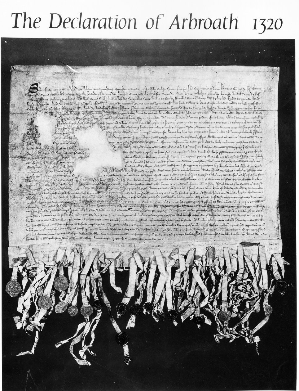 Arbroathin julistus, 6. huhtikuuta 1320 (muste vellum) tekijältä Scottish School