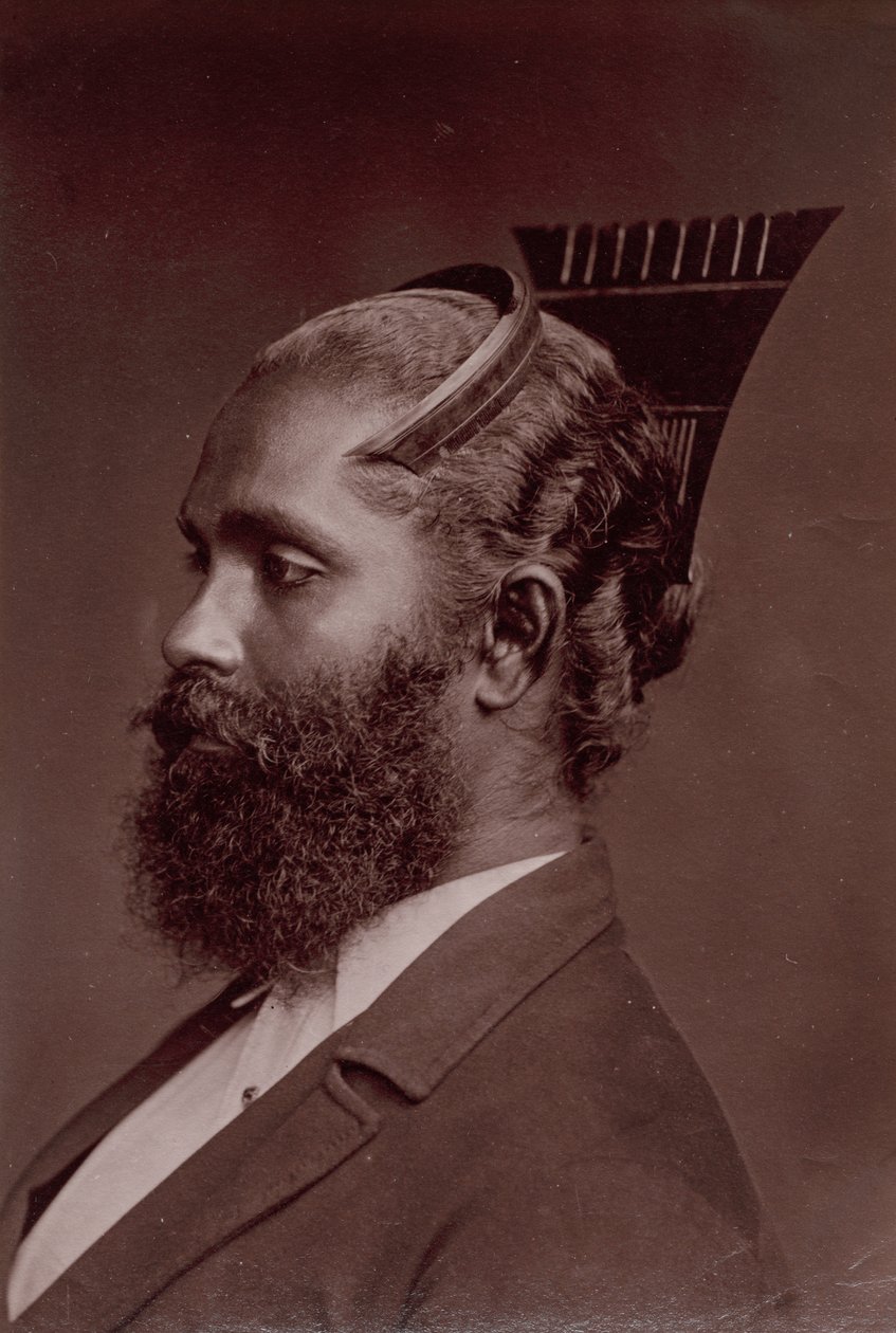 Sinhalese mies tekijältä Scowen and Co.
