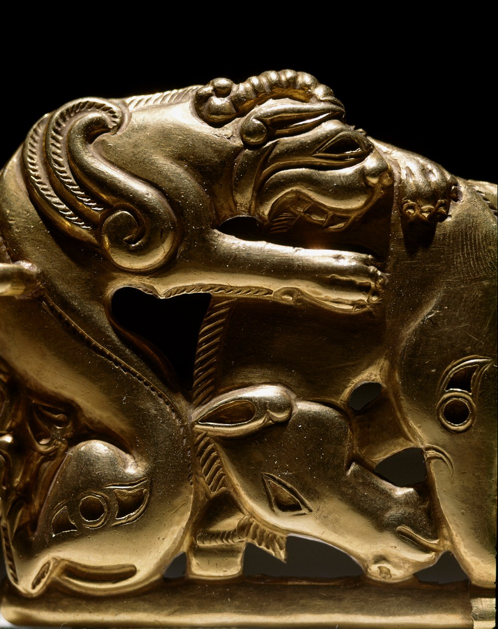 Art Scythian (Skythian sivilisaatio): kultainen vyöfibula, joka kuvaa griffiniä hevosen kimppuun, yksityiskohta. Chiliktinistä. 6.-2. vuosisadalla eKr. Pietari, Eremitaaši tekijältä Scythian Scythian
