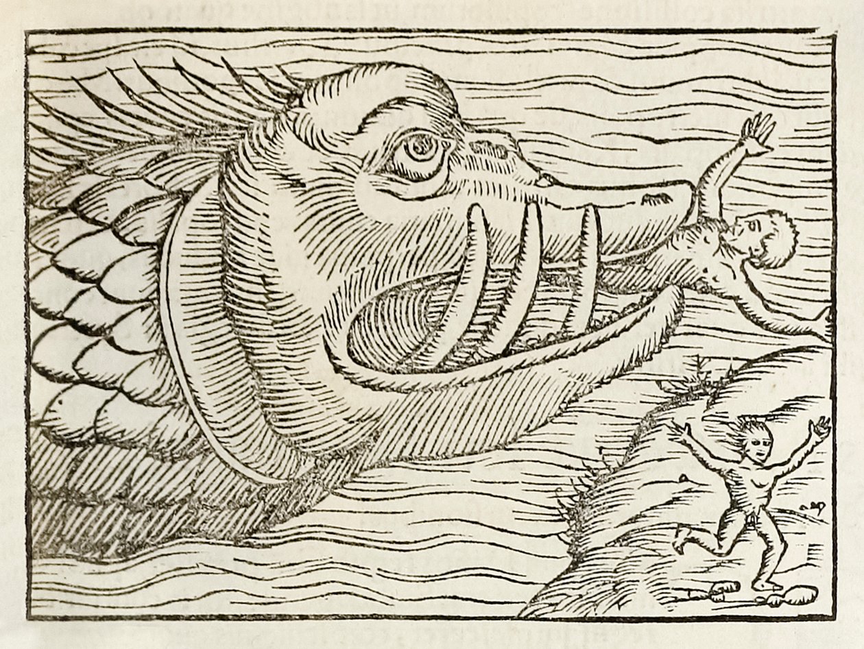 Ihmisiä syövä hirvittävä valas, Sebastian Munsterin Cosmographia vuodelta 1550 tekijältä Sebastian Munster