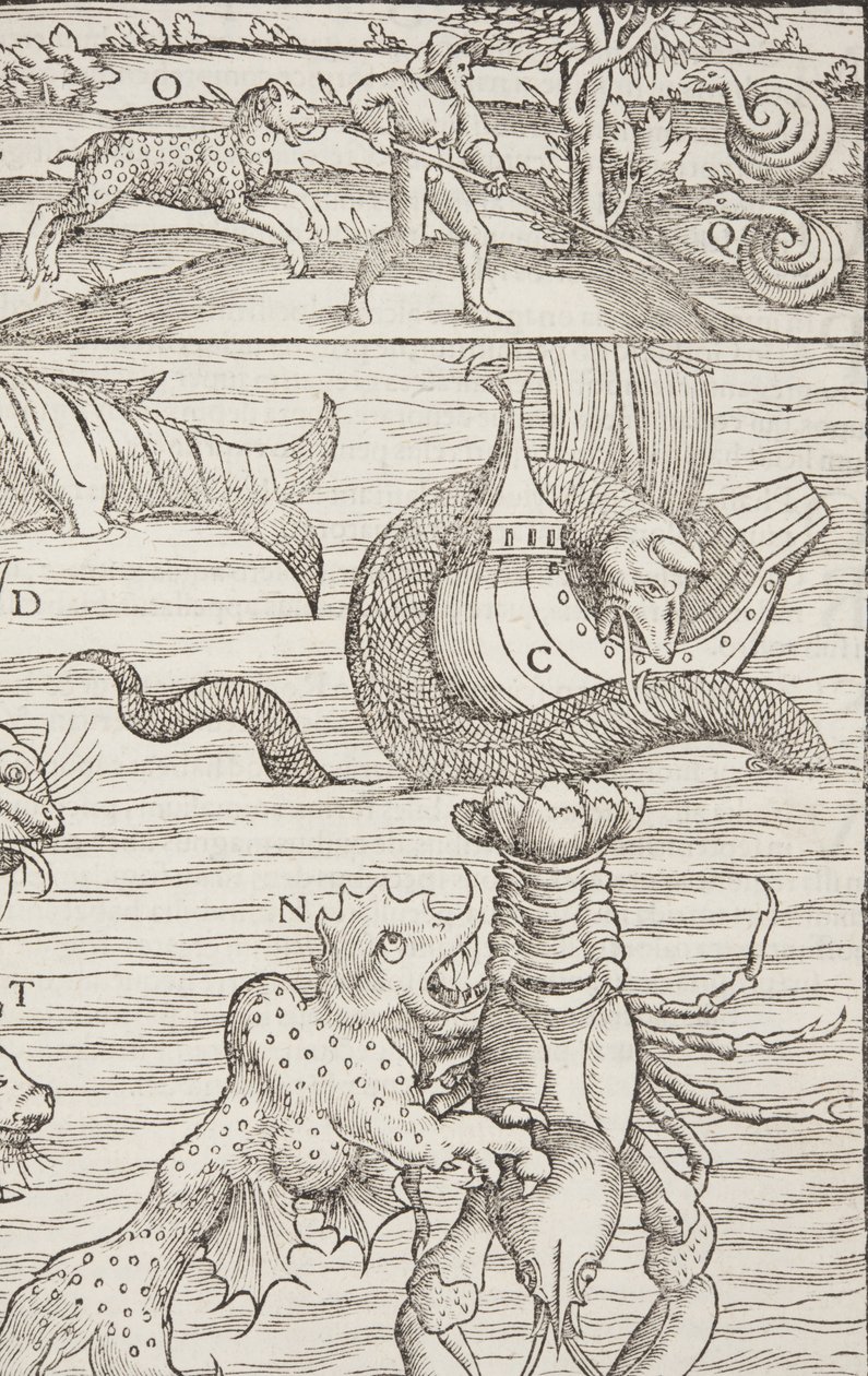 Cosmographia, Fol 853, 1544 tekijältä Sebastian Munster