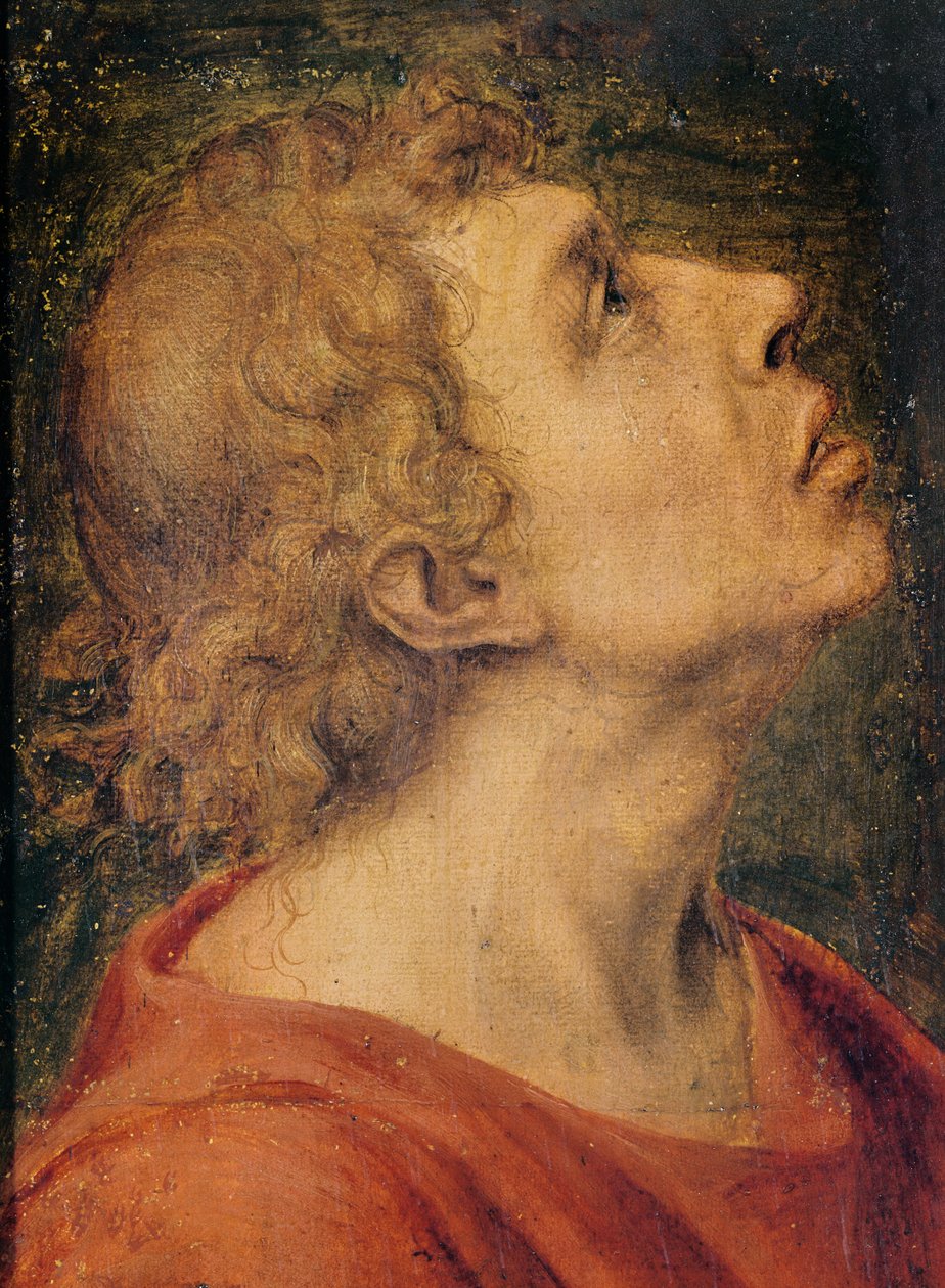 Pyhä Johannes evankelista (öljy puulle) tekijältä Sebastiano del Piombo