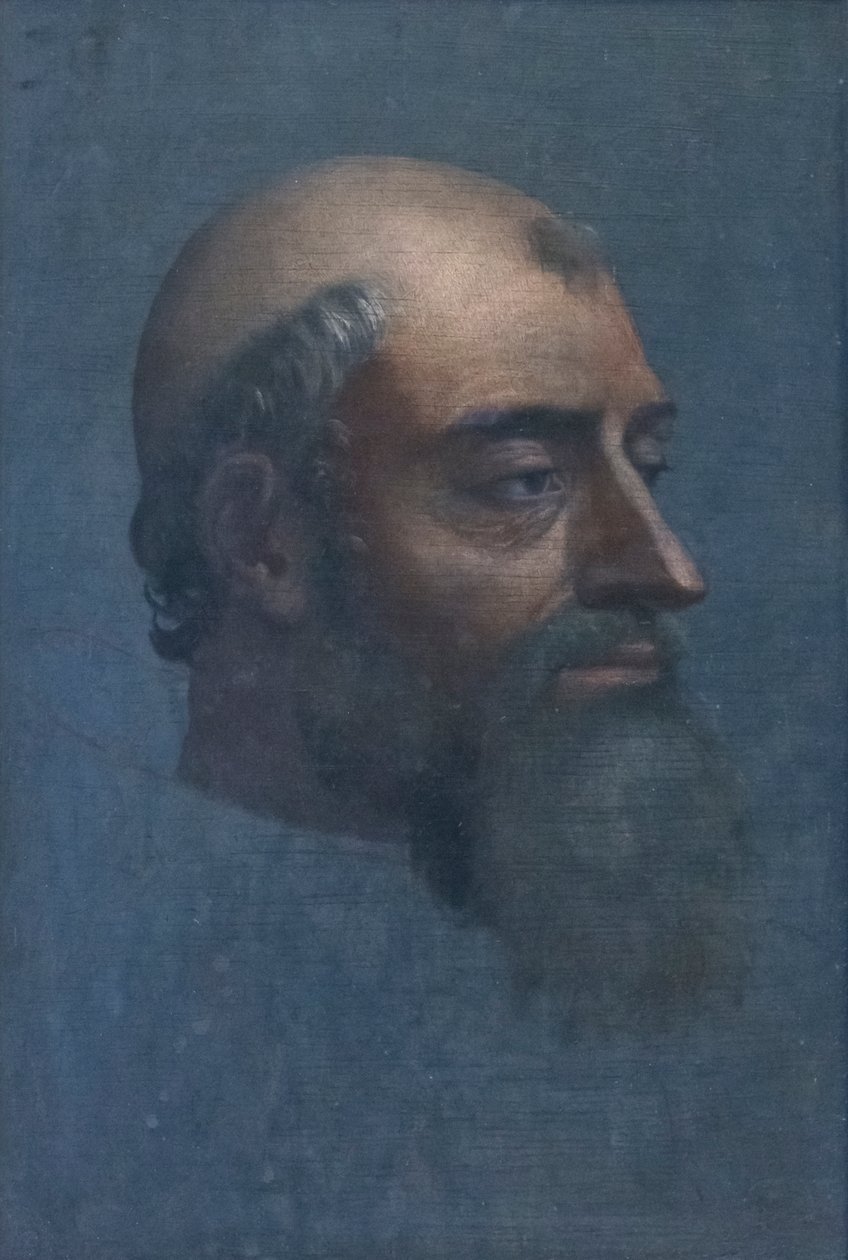 Clement VII:n muotokuva partaneen tekijältä Sebastiano del (c.1485 1547) Piombo