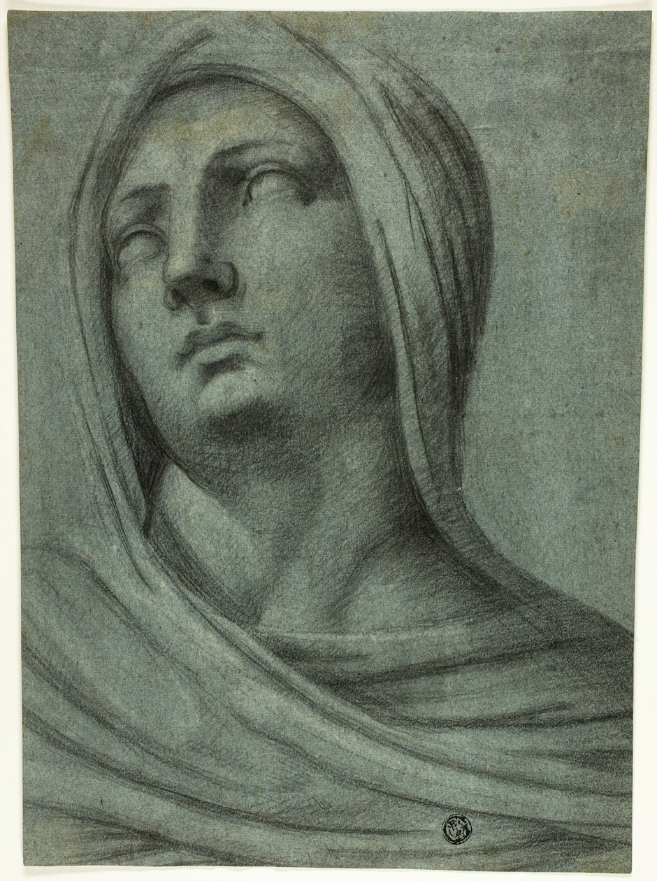 Hunnullisen naisen pää ja hartiat tekijältä Sebastiano del Piombo